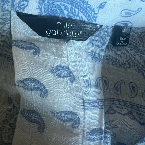 Mlle Gabrielle Blue and White Paisley sleeveless fully lined dress - Picture 3 of 4